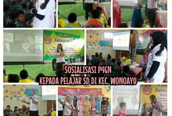 DISEMINASI INFORMASI P4GN MELALUI TATAP MUKA KEPADA PELAJAR SD KEC. WONOAYU KAB. SIDOARJO DISEMINASI INFORMASI P4GN MELALUI TATAP MUKA KEPADA PELAJAR SD KEC. WONOAYU KAB. SIDOARJO
