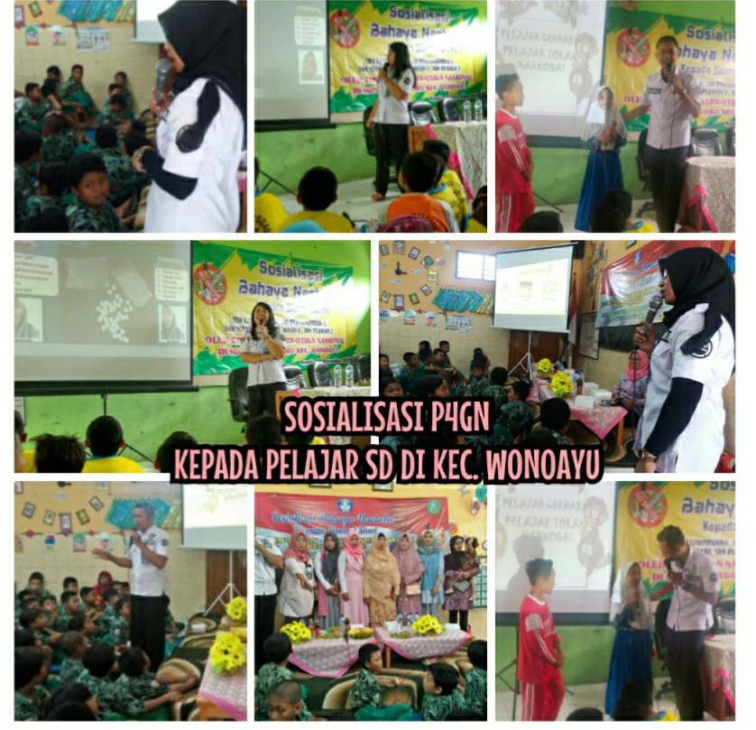 DISEMINASI INFORMASI P4GN MELALUI TATAP MUKA KEPADA PELAJAR SD KEC. WONOAYU KAB. SIDOARJO DISEMINASI INFORMASI P4GN MELALUI TATAP MUKA KEPADA PELAJAR SD KEC. WONOAYU KAB. SIDOARJO